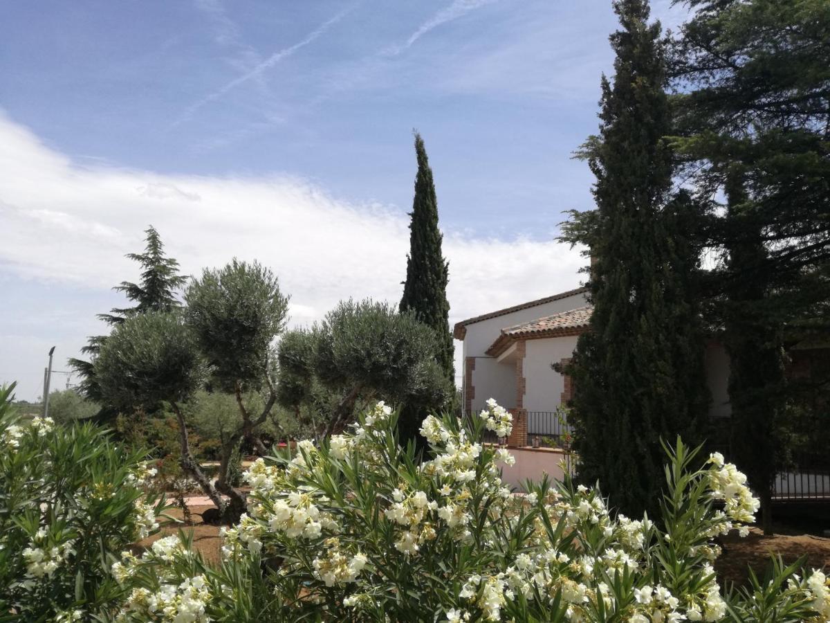 Burguillos de Toledo Casa Rural La Amistadヴィラ エクステリア 写真