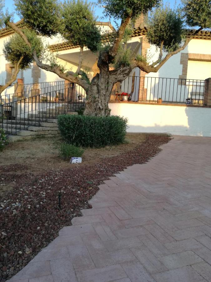 Burguillos de Toledo Casa Rural La Amistadヴィラ エクステリア 写真
