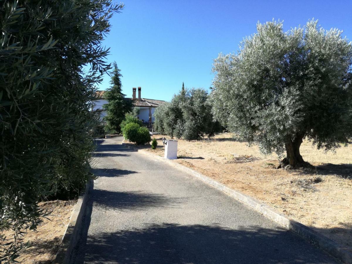 Burguillos de Toledo Casa Rural La Amistadヴィラ エクステリア 写真