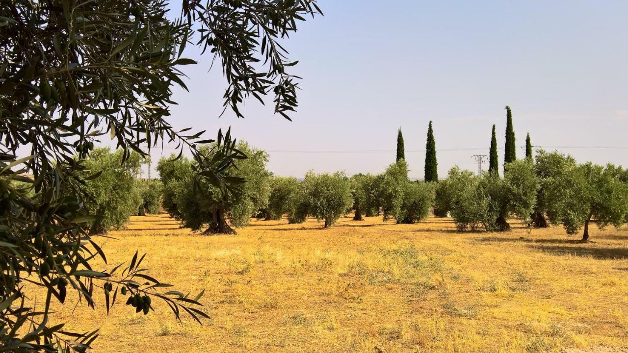 Burguillos de Toledo Casa Rural La Amistadヴィラ エクステリア 写真