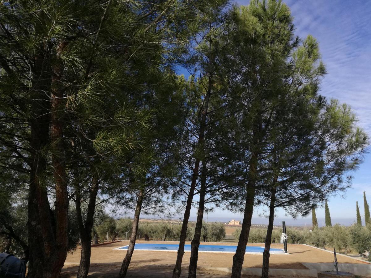 Burguillos de Toledo Casa Rural La Amistadヴィラ エクステリア 写真